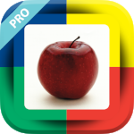 Stages Learning Language Builder Pro app icon image