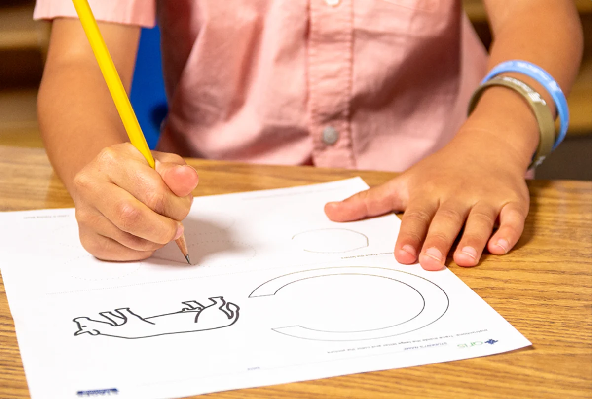 A New Homeschool Curriculum for Autistic Children: ARIS
