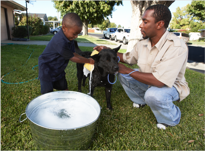 washing-dog-sequencing-card
