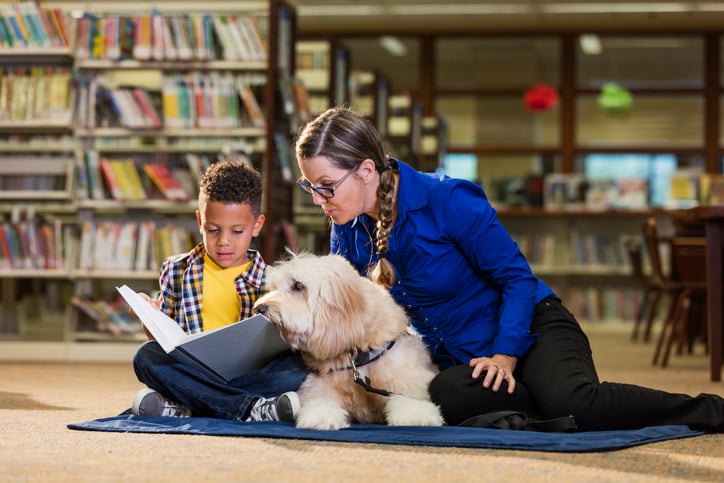 boy-and-service-dog-with-teacher
