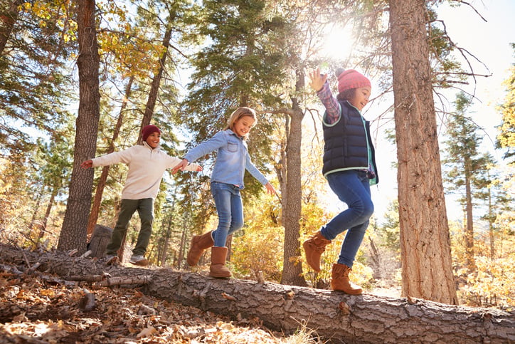 children with autism walking in woods on a log developing gross motor skills