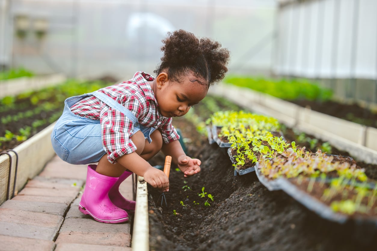 Child in vegie garden