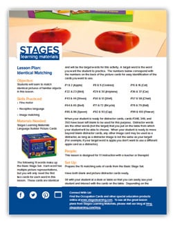 identical-matching-lesson-plan-image