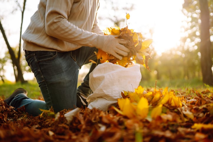 Celebrate Six Fall Holidays You Didn’t Know Existed!