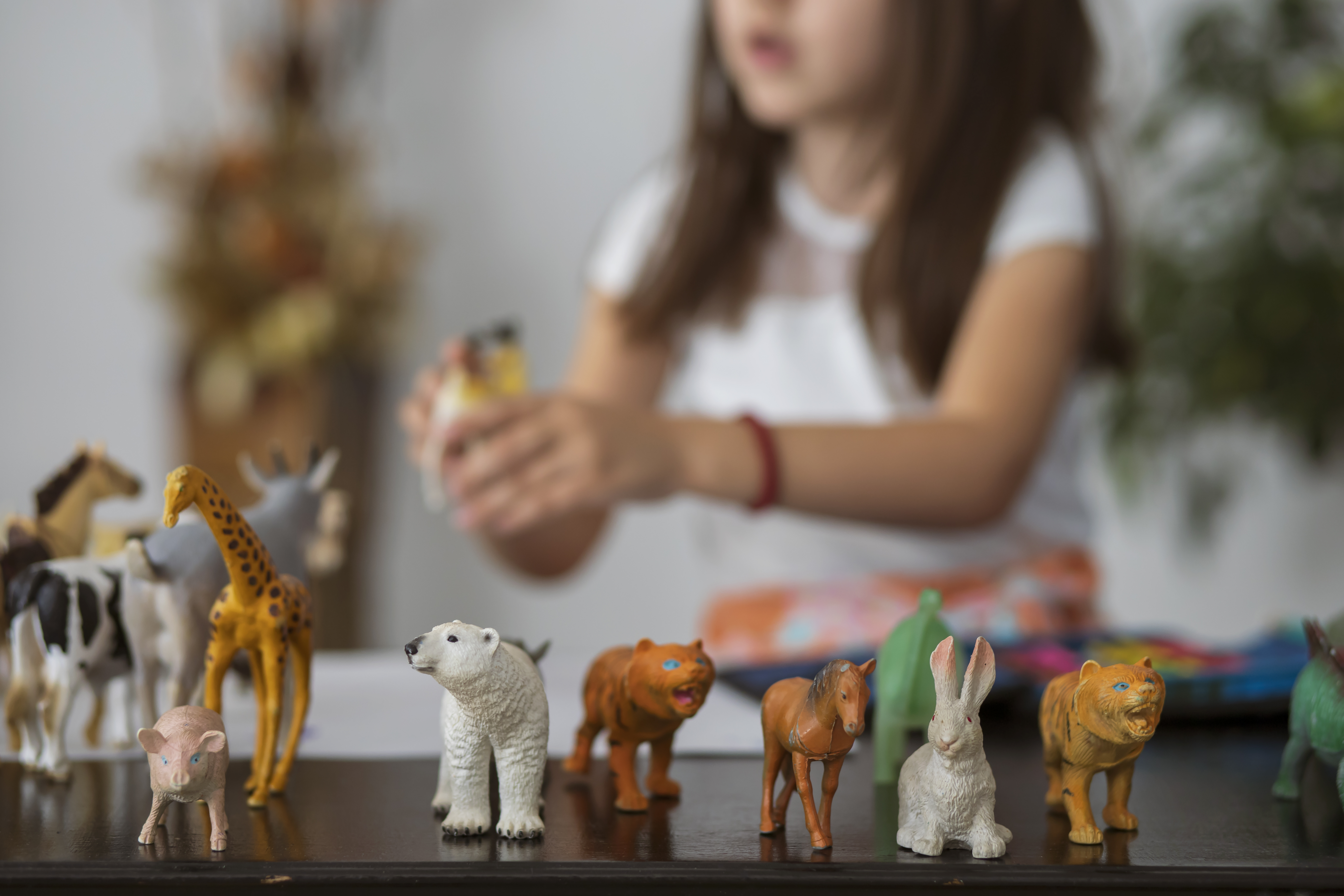 Lesson Plan: Using Identical Matching to Teach Beginning Language Skills to Children with Autism
