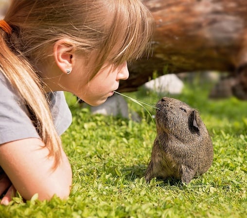 The Therapeutic Power of Pets for Children with Autism